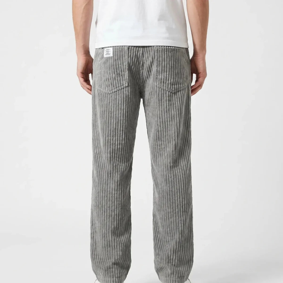 Adriano | Pantalones de terciopelo acanalado Violeta